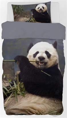 Børnesengetøj 150x210 cm - Panda motiv - Sengetøj med dyr - 100% bomuld